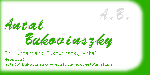 antal bukovinszky business card